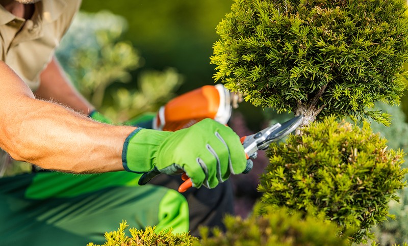 gardening tools