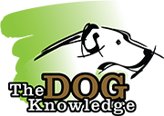 The Dog Knowledge logo