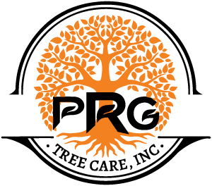 PRG Tree Care, Inc logo