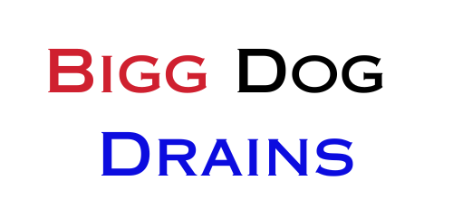 Bigg Dog Drains Logo 