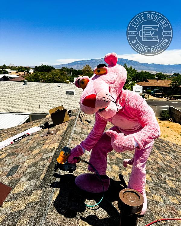 roofer on a roof in a cosutme