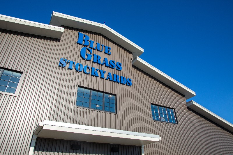 Livestock Auction Near Me Blue Grass Stockyards