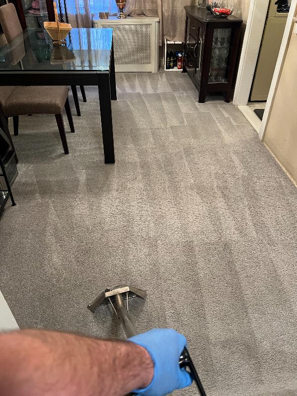 A steam cleaner is being used to clean a home's carpeted area.
