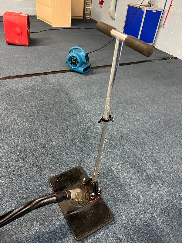 A steam cleaner sits on a carpeted floor.