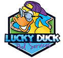 Lucky Duck Pool Services logo