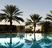 A swimming pool surrounded by palm trees