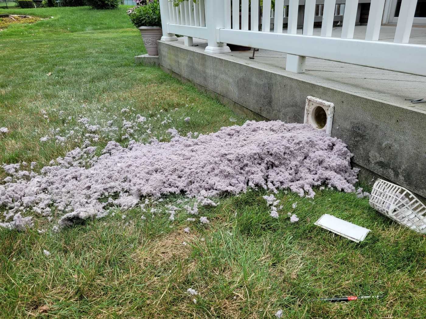 Pile of Lint - Dryer Vent