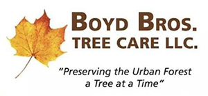 Boyd Bros Tree Care logo