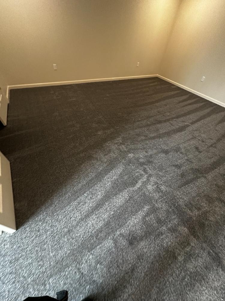 Freshly installed and washed grey carpet.