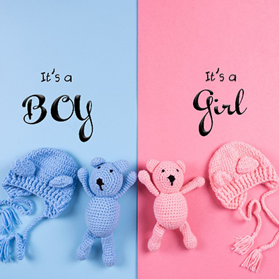 Blue and pink bears and hats lie atop pink and blue banners