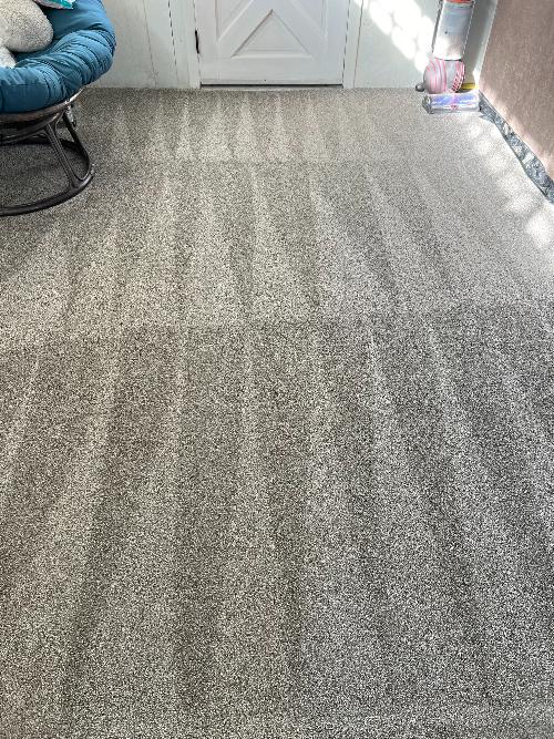 A cleaning pattern is seen after cleaning a carpet.