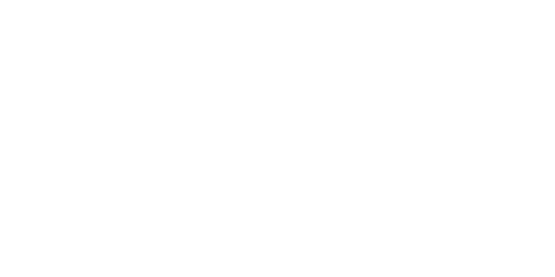 TRIBE CBD + Cannabinoids logo
