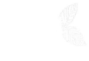 Mint Skin logo