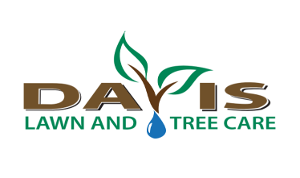 Davis Lawn & Tree Care logo